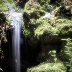 修河（シュウコウ）霊能者